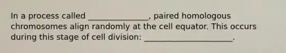 In a process called _______________, paired homologous chromosomes align randomly at the cell equator. This occurs during this stage of cell division: ______________________.