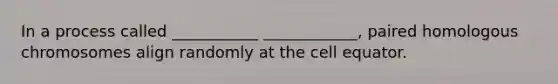 In a process called ___________ ____________, paired homologous chromosomes align randomly at the cell equator.