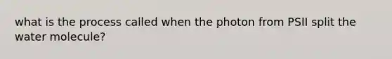 what is the process called when the photon from PSII split the water molecule?