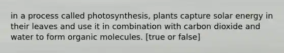 in a process called photosynthesis, plants capture solar energy in their leaves and use it in combination with carbon dioxide and water to form organic molecules. [true or false]