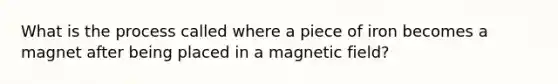 What is the process called where a piece of iron becomes a magnet after being placed in a magnetic field?