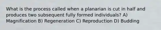 What is the process called when a planarian is cut in half and produces two subsequent fully formed individuals? A) Magnification B) Regeneration C) Reproduction D) Budding