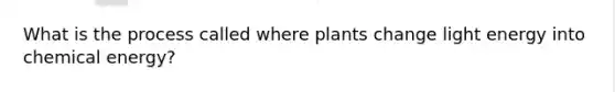 What is the process called where plants change light energy into chemical energy?