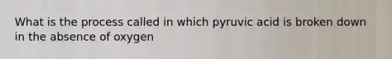 What is the process called in which pyruvic acid is broken down in the absence of oxygen