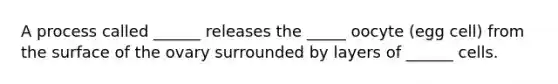 A process called ______ releases the _____ oocyte (egg cell) from the surface of the ovary surrounded by layers of ______ cells.