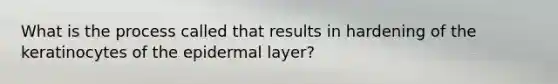 What is the process called that results in hardening of the keratinocytes of the epidermal layer?