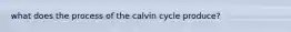 what does the process of the calvin cycle produce?