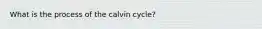 What is the process of the calvin cycle?