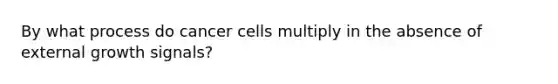 By what process do cancer cells multiply in the absence of external growth signals?