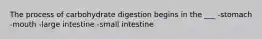 The process of carbohydrate digestion begins in the ___ -stomach -mouth -large intestine -small intestine