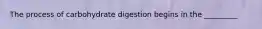 The process of carbohydrate digestion begins in the _________