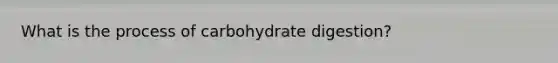 What is the process of carbohydrate digestion?