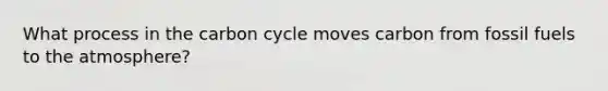 What process in <a href='https://www.questionai.com/knowledge/kMvxsmmBPd-the-carbon-cycle' class='anchor-knowledge'>the carbon cycle</a> moves carbon from fossil fuels to the atmosphere?