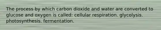 The process by which carbon dioxide and water are converted to glucose and oxygen is called: <a href='https://www.questionai.com/knowledge/k1IqNYBAJw-cellular-respiration' class='anchor-knowledge'>cellular respiration</a>. glycolysis. photosynthesis. fermentation.