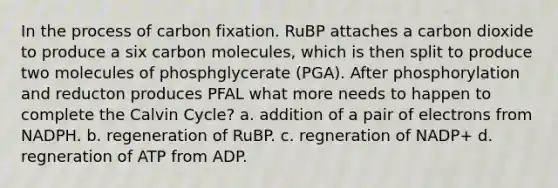 In the process of carbon fixation. RuBP attaches a carbon dioxide to produce a six carbon molecules, which is then split to produce two molecules of phosphglycerate (PGA). After phosphorylation and reducton produces PFAL what more needs to happen to complete the Calvin Cycle? a. addition of a pair of electrons from NADPH. b. regeneration of RuBP. c. regneration of NADP+ d. regneration of ATP from ADP.