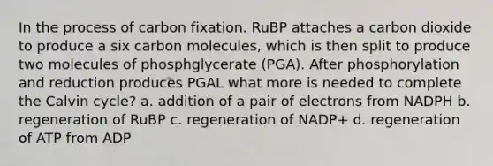 In the process of carbon fixation. RuBP attaches a carbon dioxide to produce a six carbon molecules, which is then split to produce two molecules of phosphglycerate (PGA). After phosphorylation and reduction produces PGAL what more is needed to complete the Calvin cycle? a. addition of a pair of electrons from NADPH b. regeneration of RuBP c. regeneration of NADP+ d. regeneration of ATP from ADP