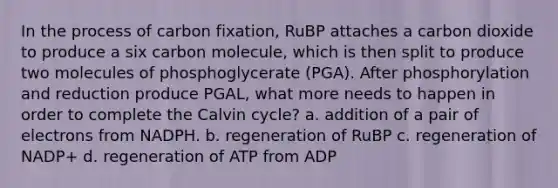 In the process of carbon fixation, RuBP attaches a carbon dioxide to produce a six carbon molecule, which is then split to produce two molecules of phosphoglycerate (PGA). After phosphorylation and reduction produce PGAL, what more needs to happen in order to complete the Calvin cycle? a. addition of a pair of electrons from NADPH. b. regeneration of RuBP c. regeneration of NADP+ d. regeneration of ATP from ADP