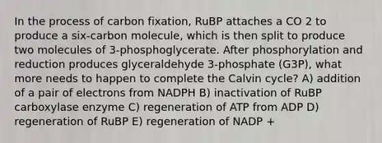 In the process of carbon fixation, RuBP attaches a CO 2 to produce a six-carbon molecule, which is then split to produce two molecules of 3-phosphoglycerate. After phosphorylation and reduction produces glyceraldehyde 3-phosphate (G3P), what more needs to happen to complete the Calvin cycle? A) addition of a pair of electrons from NADPH B) inactivation of RuBP carboxylase enzyme C) regeneration of ATP from ADP D) regeneration of RuBP E) regeneration of NADP +