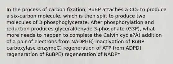 In the process of carbon fixation, RuBP attaches a CO₂ to produce a six-carbon molecule, which is then split to produce two molecules of 3-phosphoglycerate. After phosphorylation and reduction produces glyceraldehyde 3-phosphate (G3P), what more needs to happen to complete the Calvin cycle?A) addition of a pair of electrons from NADPHB) inactivation of RuBP carboxylase enzymeC) regeneration of ATP from ADPD) regeneration of RuBPE) regeneration of NADP⁺