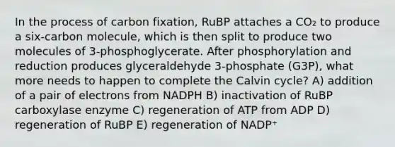 In the process of carbon fixation, RuBP attaches a CO₂ to produce a six-carbon molecule, which is then split to produce two molecules of 3-phosphoglycerate. After phosphorylation and reduction produces glyceraldehyde 3-phosphate (G3P), what more needs to happen to complete the Calvin cycle? A) addition of a pair of electrons from NADPH B) inactivation of RuBP carboxylase enzyme C) regeneration of ATP from ADP D) regeneration of RuBP E) regeneration of NADP⁺