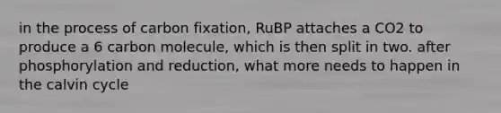 in the process of carbon fixation, RuBP attaches a CO2 to produce a 6 carbon molecule, which is then split in two. after phosphorylation and reduction, what more needs to happen in the calvin cycle