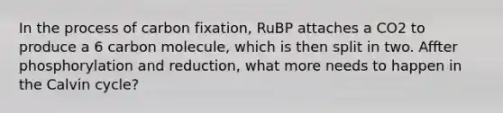 In the process of carbon fixation, RuBP attaches a CO2 to produce a 6 carbon molecule, which is then split in two. Affter phosphorylation and reduction, what more needs to happen in the Calvin cycle?