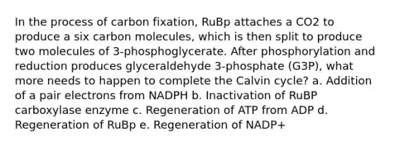 In the process of carbon fixation, RuBp attaches a CO2 to produce a six carbon molecules, which is then split to produce two molecules of 3-phosphoglycerate. After phosphorylation and reduction produces glyceraldehyde 3-phosphate (G3P), what more needs to happen to complete the Calvin cycle? a. Addition of a pair electrons from NADPH b. Inactivation of RuBP carboxylase enzyme c. Regeneration of ATP from ADP d. Regeneration of RuBp e. Regeneration of NADP+