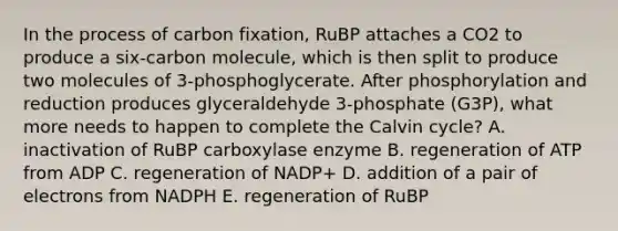 In the process of carbon fixation, RuBP attaches a CO2 to produce a six-carbon molecule, which is then split to produce two molecules of 3-phosphoglycerate. After phosphorylation and reduction produces glyceraldehyde 3-phosphate (G3P), what more needs to happen to complete the Calvin cycle? A. inactivation of RuBP carboxylase enzyme B. regeneration of ATP from ADP C. regeneration of NADP+ D. addition of a pair of electrons from NADPH E. regeneration of RuBP