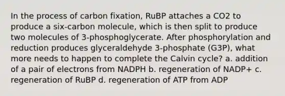 In the process of carbon fixation, RuBP attaches a CO2 to produce a six-carbon molecule, which is then split to produce two molecules of 3-phosphoglycerate. After phosphorylation and reduction produces glyceraldehyde 3-phosphate (G3P), what more needs to happen to complete the Calvin cycle? a. addition of a pair of electrons from NADPH b. regeneration of NADP+ c. regeneration of RuBP d. regeneration of ATP from ADP