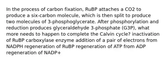 In the process of carbon fixation, RuBP attaches a CO2 to produce a six-carbon molecule, which is then split to produce two molecules of 3-phosphoglycerate. After phosphorylation and reduction produces glyceraldehyde 3-phosphate (G3P), what more needs to happen to complete the Calvin cycle? inactivation of RuBP carboxylase enzyme addition of a pair of electrons from NADPH regeneration of RuBP regeneration of ATP from ADP regeneration of NADP+