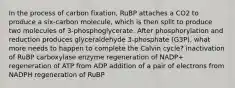 In the process of carbon fixation, RuBP attaches a CO2 to produce a six-carbon molecule, which is then split to produce two molecules of 3-phosphoglycerate. After phosphorylation and reduction produces glyceraldehyde 3-phosphate (G3P), what more needs to happen to complete the Calvin cycle? inactivation of RuBP carboxylase enzyme regeneration of NADP+ regeneration of ATP from ADP addition of a pair of electrons from NADPH regeneration of RuBP