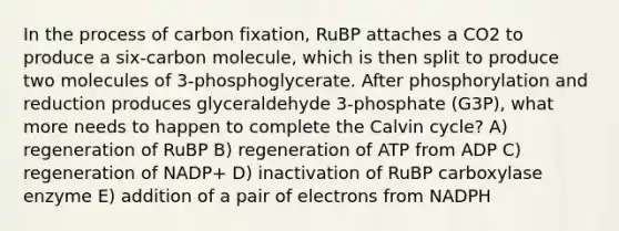 In the process of carbon fixation, RuBP attaches a CO2 to produce a six-carbon molecule, which is then split to produce two molecules of 3-phosphoglycerate. After phosphorylation and reduction produces glyceraldehyde 3-phosphate (G3P), what more needs to happen to complete the Calvin cycle? A) regeneration of RuBP B) regeneration of ATP from ADP C) regeneration of NADP+ D) inactivation of RuBP carboxylase enzyme E) addition of a pair of electrons from NADPH