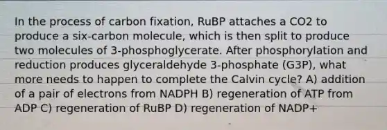 In the process of carbon fixation, RuBP attaches a CO2 to produce a six-carbon molecule, which is then split to produce two molecules of 3-phosphoglycerate. After phosphorylation and reduction produces glyceraldehyde 3-phosphate (G3P), what more needs to happen to complete the Calvin cycle? A) addition of a pair of electrons from NADPH B) regeneration of ATP from ADP C) regeneration of RuBP D) regeneration of NADP+