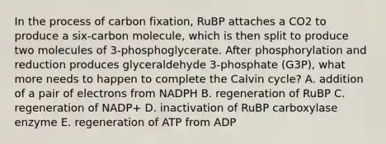 In the process of carbon fixation, RuBP attaches a CO2 to produce a six-carbon molecule, which is then split to produce two molecules of 3-phosphoglycerate. After phosphorylation and reduction produces glyceraldehyde 3-phosphate (G3P), what more needs to happen to complete the Calvin cycle? A. addition of a pair of electrons from NADPH B. regeneration of RuBP C. regeneration of NADP+ D. inactivation of RuBP carboxylase enzyme E. regeneration of ATP from ADP