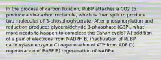 In the process of carbon fixation, RuBP attaches a CO2 to produce a six-carbon molecule, which is then split to produce two molecules of 3-phosphoglycerate. After phosphorylation and reduction produces glyceraldehyde 3-phosphate (G3P), what more needs to happen to complete the Calvin cycle? A) addition of a pair of electrons from NADPH B) inactivation of RuBP carboxylase enzyme C) regeneration of ATP from ADP D) regeneration of RuBP E) regeneration of NADP+