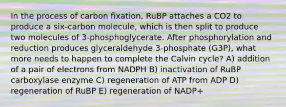 In the process of carbon fixation, RuBP attaches a CO2 to produce a six-carbon molecule, which is then split to produce two molecules of 3-phosphoglycerate. After phosphorylation and reduction produces glyceraldehyde 3-phosphate (G3P), what more needs to happen to complete the Calvin cycle? A) addition of a pair of electrons from NADPH B) inactivation of RuBP carboxylase enzyme C) regeneration of ATP from ADP D) regeneration of RuBP E) regeneration of NADP+