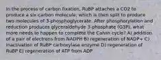 In the process of carbon fixation, RuBP attaches a CO2 to produce a six-carbon molecule, which is then split to produce two molecules of 3-phosphoglycerate. After phosphorylation and reduction produces glyceraldehyde 3-phosphate (G3P), what more needs to happen to complete the Calvin cycle? A) addition of a pair of electrons from NADPH B) regeneration of NADP+ C) inactivation of RuBP carboxylase enzyme D) regeneration of RuBP E) regeneration of ATP from ADP