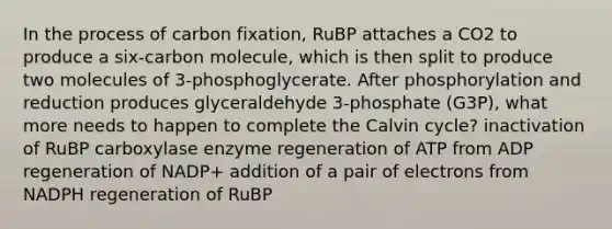 In the process of carbon fixation, RuBP attaches a CO2 to produce a six-carbon molecule, which is then split to produce two molecules of 3-phosphoglycerate. After phosphorylation and reduction produces glyceraldehyde 3-phosphate (G3P), what more needs to happen to complete the Calvin cycle? inactivation of RuBP carboxylase enzyme regeneration of ATP from ADP regeneration of NADP+ addition of a pair of electrons from NADPH regeneration of RuBP