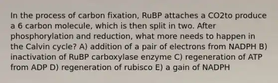 In the process of carbon fixation, RuBP attaches a CO2to produce a 6 carbon molecule, which is then split in two. After phosphorylation and reduction, what more needs to happen in the Calvin cycle? A) addition of a pair of electrons from NADPH B) inactivation of RuBP carboxylase enzyme C) regeneration of ATP from ADP D) regeneration of rubisco E) a gain of NADPH