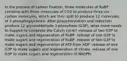 In the process of carbon fixation, three molecules of RuBP combine with three molecules of CO2 to produce three six-carbon molecules, which are then split to produce 12 molecules of 3-phosphoglycerate. After phosphorylation and reduction produce 12 glyceraldehyde 3-phosphate (G3P), what more needs to happen to complete the Calvin cycle? -release of two G3P to make sugars and regeneration of RuBP -release of one G3P to make sugars and regeneration of RuBP -release of two G3P to make sugars and regeneration of ATP from ADP -release of one G3P to make sugars and regeneration of citrate -release of one G3P to make sugars and regeneration of NADPH