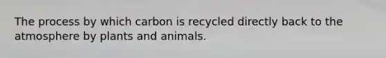 The process by which carbon is recycled directly back to the atmosphere by plants and animals.