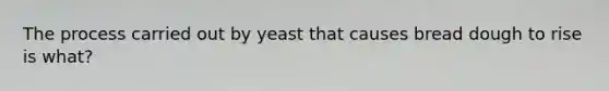 The process carried out by yeast that causes bread dough to rise is what?