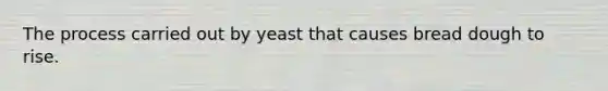 The process carried out by yeast that causes bread dough to rise.