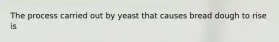 The process carried out by yeast that causes bread dough to rise is