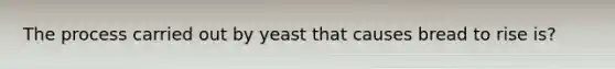 The process carried out by yeast that causes bread to rise is?