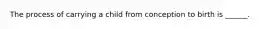The process of carrying a child from conception to birth is ______.