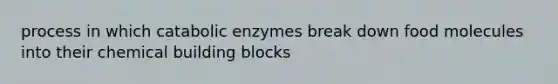 process in which catabolic enzymes break down food molecules into their chemical building blocks