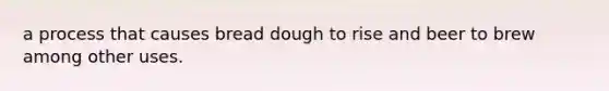 a process that causes bread dough to rise and beer to brew among other uses.