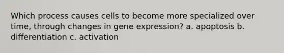 Which process causes cells to become more specialized over time, through changes in gene expression? a. apoptosis b. differentiation c. activation