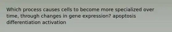 Which process causes cells to become more specialized over time, through changes in gene expression? apoptosis differentiation activation